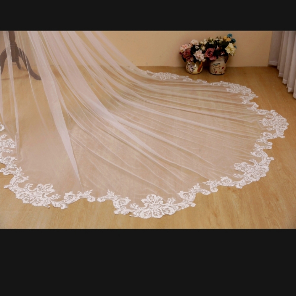 Cathedral length ivory veil